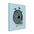 thumbnail image 2 of Trademark Fine Art 'Skull Nest Binds' Canvas Art by Rachel Caldwel, 2 of 3