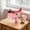 Pink, variant on Cute Dinosaur Airplane Launcher Toy - Foam Glider Plane - Outdoor Flying Catapult Toy, Easy to Launch Foam Aircraft Portable Stress Relief Outdoor Toy, Needed for Camping Beach Fun (Blue)