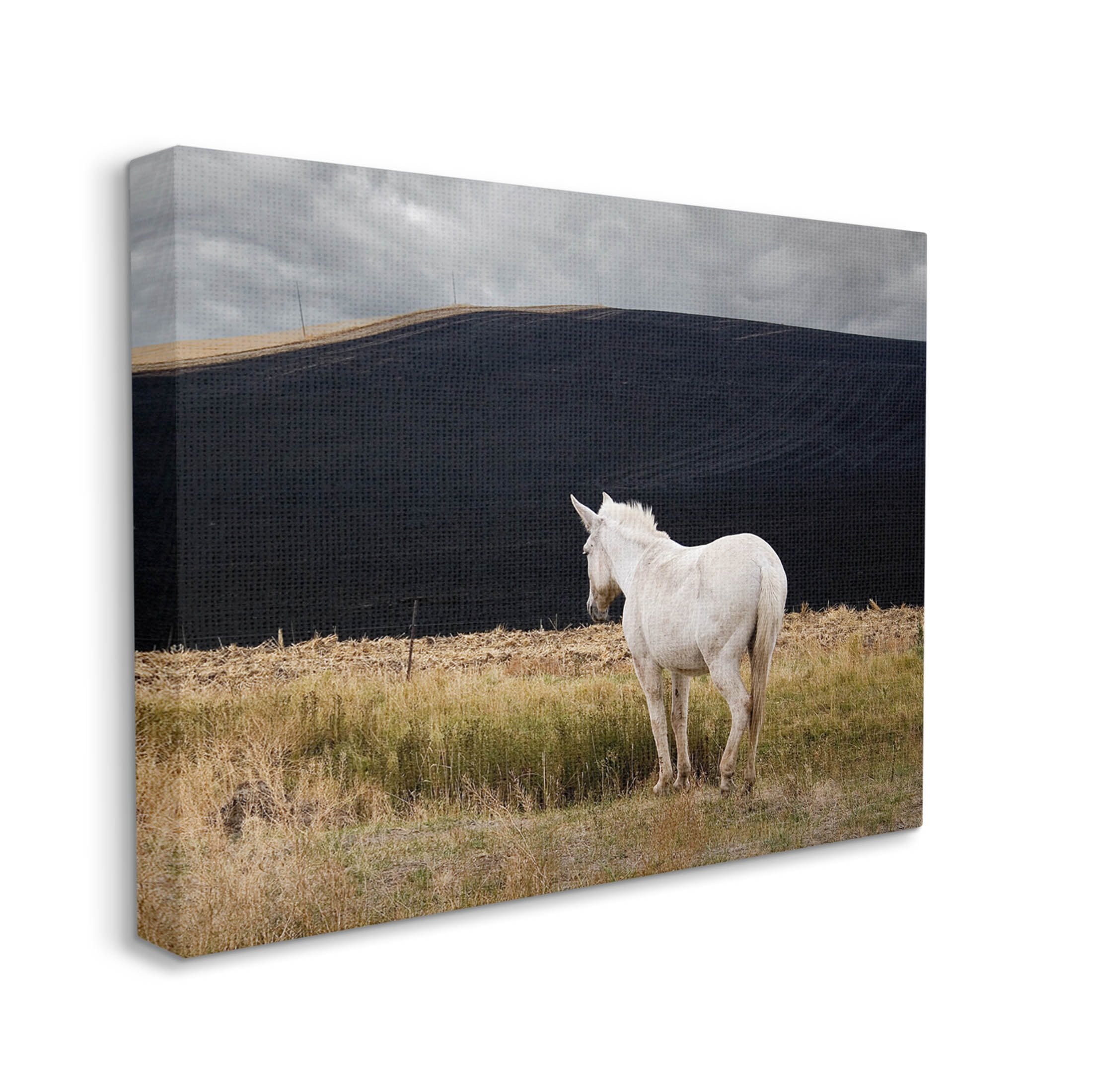 Stupell Industries Lone White Horse Vast Country Pasture Photograph Gallery Wrapped Canvas Print Wall Art, Design by David Lorenz