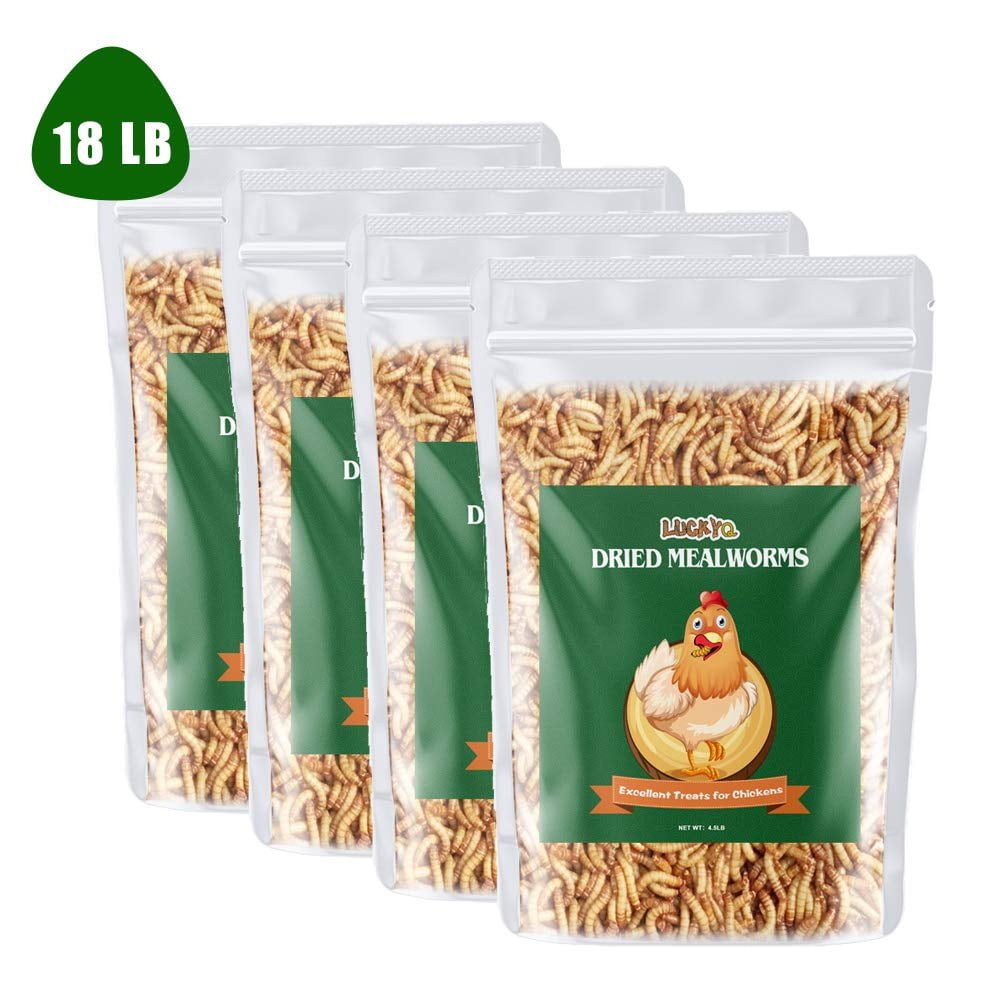 LUCKYQ Dried Mealworms 18LB,HighProtein Bulk Mealworms for Birds