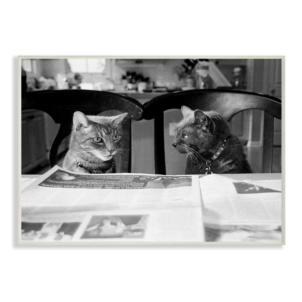 The Stupell Home Decor Collection Black And White Cats Gossiping Before Dinner Photograph Wall Plaque Art, 12.5 x 18.5