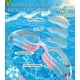 thumbnail image 2 of Gafas de natación HIGAHY para niños de 6 a 14 años con protección UV antivahy, 2 of 7