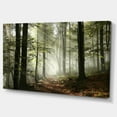 thumbnail image 2 of Designart 'Light in Dense Fall Forest with Fog ' Landscape Art Print Canvas, 2 of 3