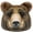 Brown, variant on JWH 3D Decorative Stuffed Bear Head Throw Pillow Handmade and Printed with Ear 12x10inch Dark Brown