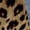 EliteGoogvKhaki, variant on EliteGoogv Women Leopard Print Crew Neck Short Sleeve T-Shirt Casual Wild Animal Print Fashion Streetwear Tee Shirts Blouses Tunics Tops,Coffee,L