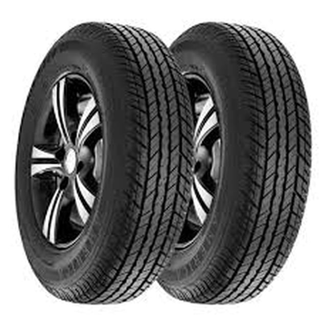 PAQUETE 2 LLANTAS 205 70 R14 93S TORNEL AMERICA AT909