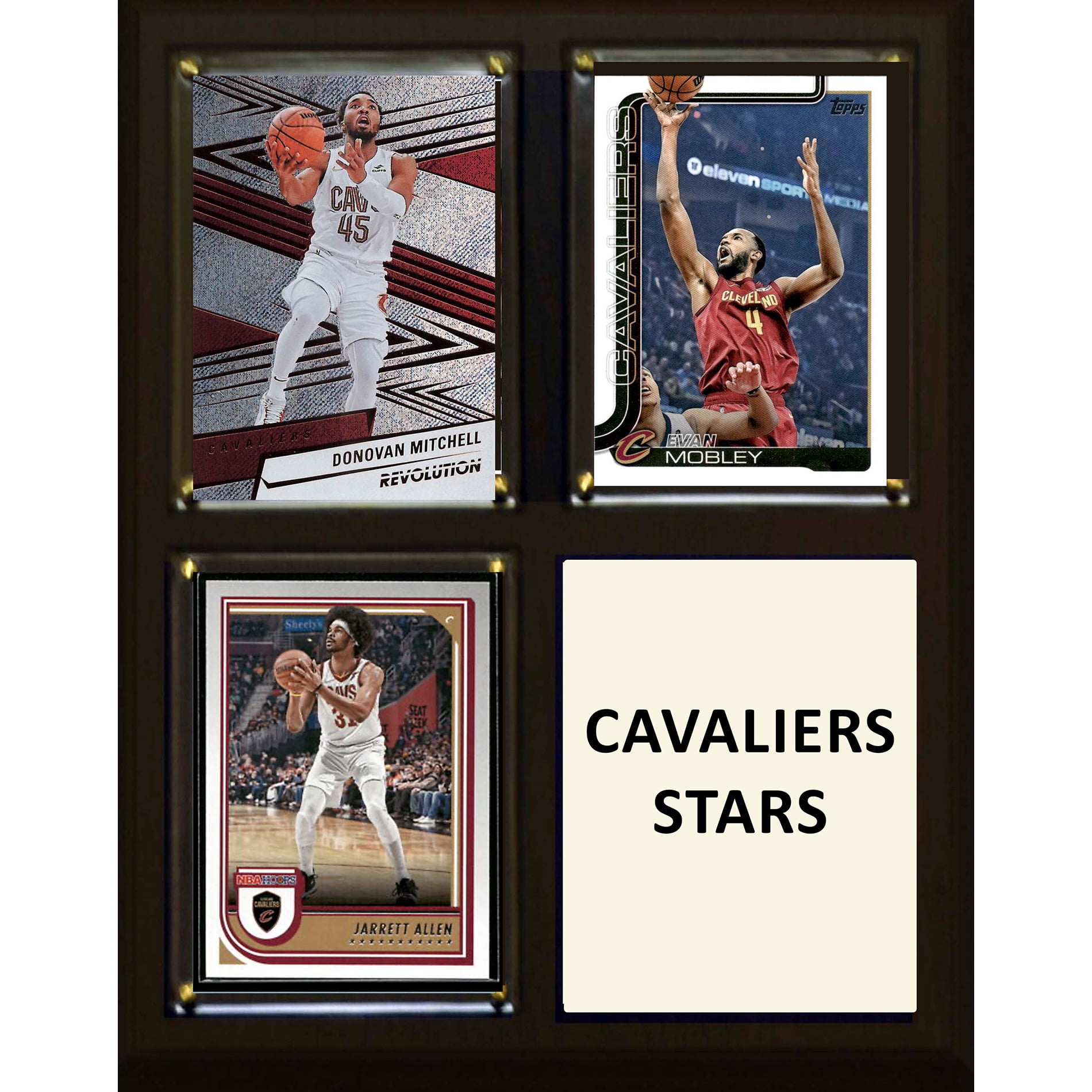 Cleveland Cavaliers 8" x 10" Plaque