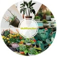 thumbnail image 3 of EJWOX Garden Pot Plant Mover with Adjustable Handle -  Free Wheels and Gripping Suction Cups, 3 of 11
