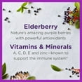 Zarbee's Elderberry Gummies for Kids with Vitamin C, Zinc & Elderberry