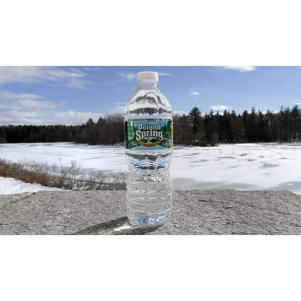 Poland Spring 100 Natural Spring Water, 16.9 Bottle (Pack of 10, Total of 169 Fl Oz)
