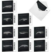 10 Assorted All Occasion Blank Note Cards 'Whale Known' (4" x 5-1/8") W/Envelopes - Informational Notecards, Illustrated Images of Earth's Largest Whales - Sea Animal Assortment Box MQ4960OCB-B1x10