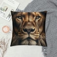 thumbnail image 2 of COMIO Throw Pillow Covers Lion Black Decorative Pillow Cases Home Decor Standard Square Pillowcases, 2 of 5