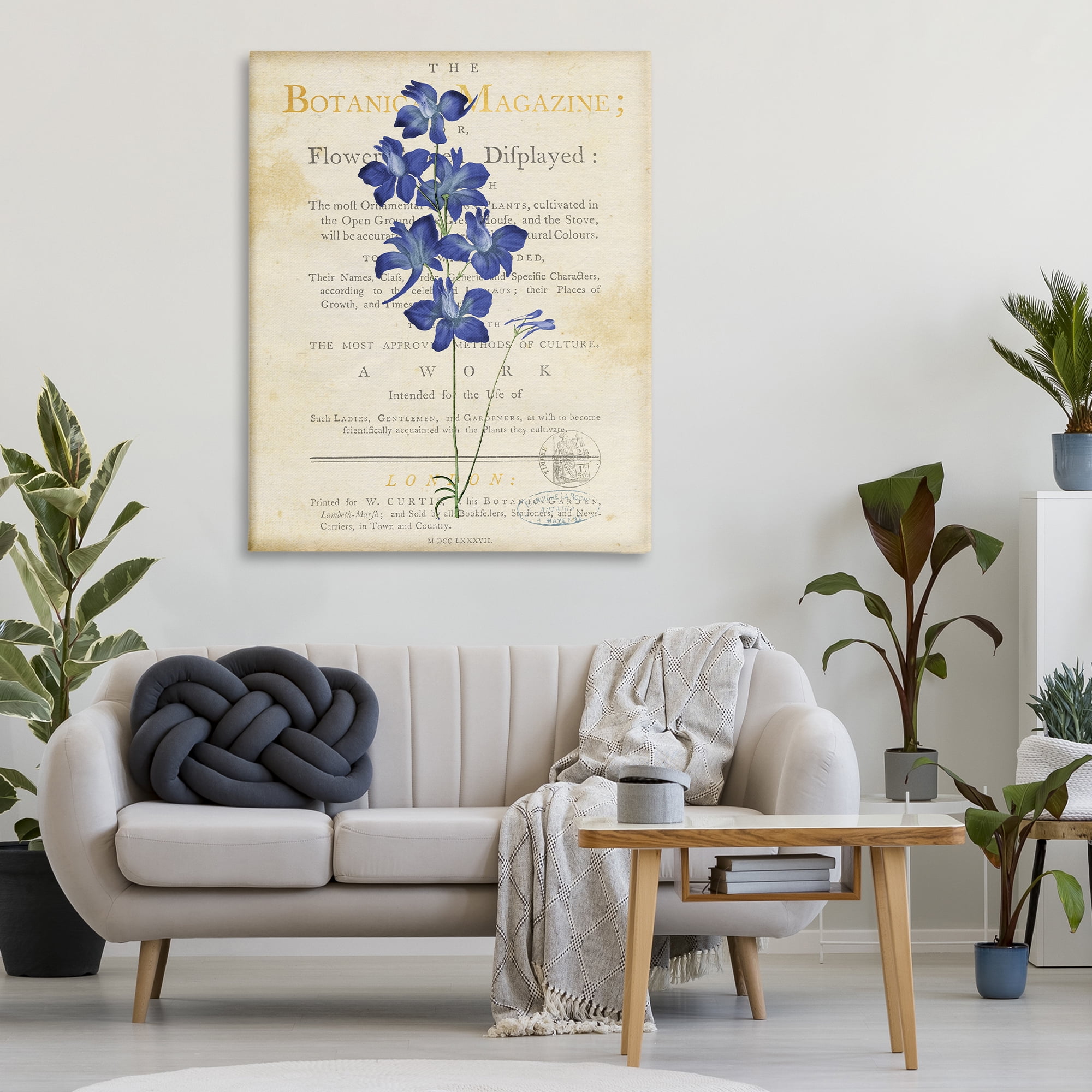 Stupell Industries Natural Botanic Garden Flower Canvas Wall Art, design by Susan Arnot