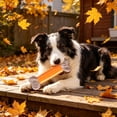 thumbnail image 6 of Dog Chew Toys,Rubber Chew Stick | Dental Bone Power Chew Toy for Dogs | Puppy Enrichment Teething Toys for Teeth Cleaning & Backyard Playtime,Orange, 6 of 8