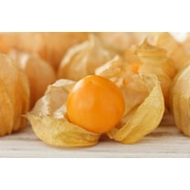 50 PERUVIAN GROUND CHERRY Physalis Peruviana Cape Gooseberry Fruit Veggie Seeds