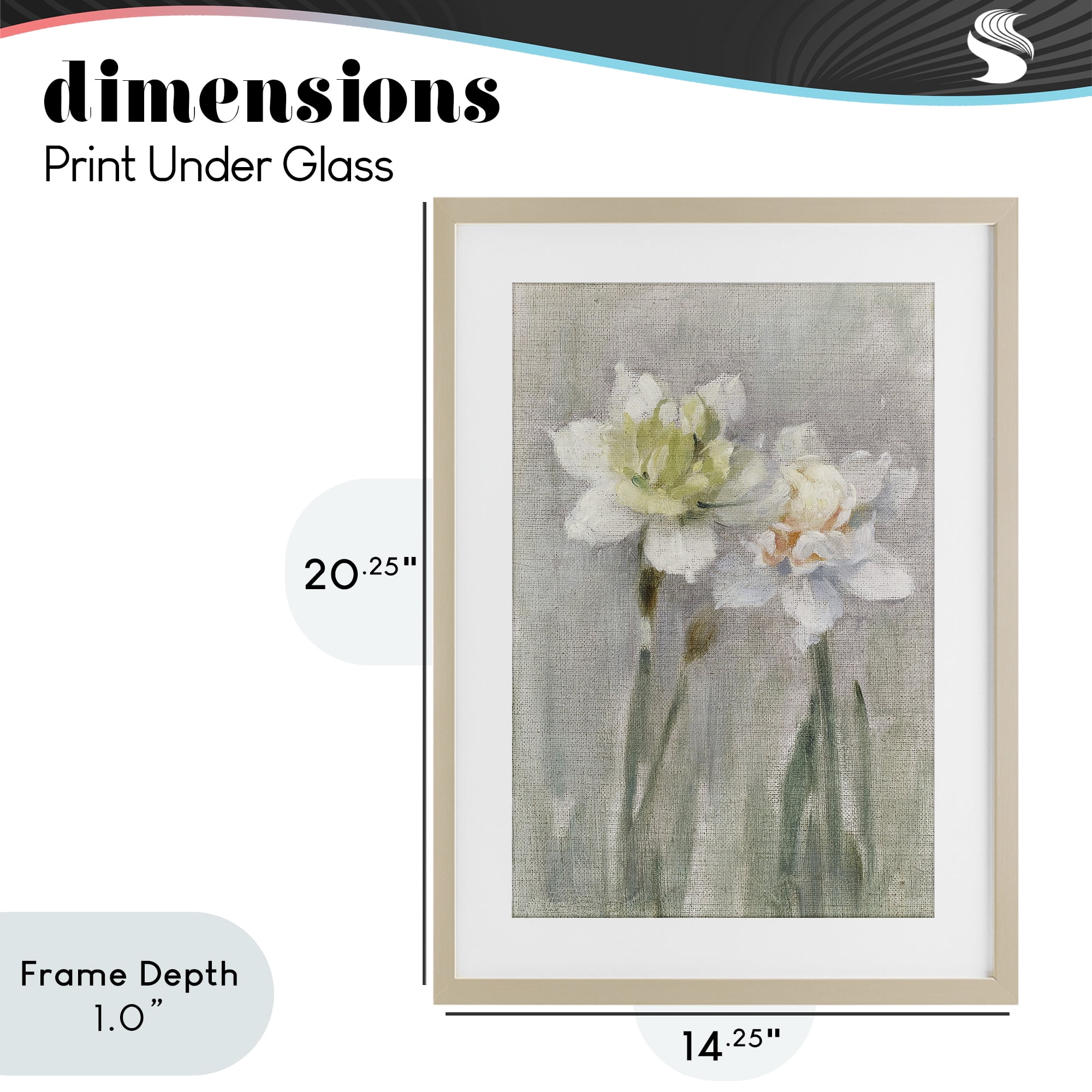 Stupell Industries Twin White Daffodils Birch Framed Print Under Glass, design by Stellar Design Studio