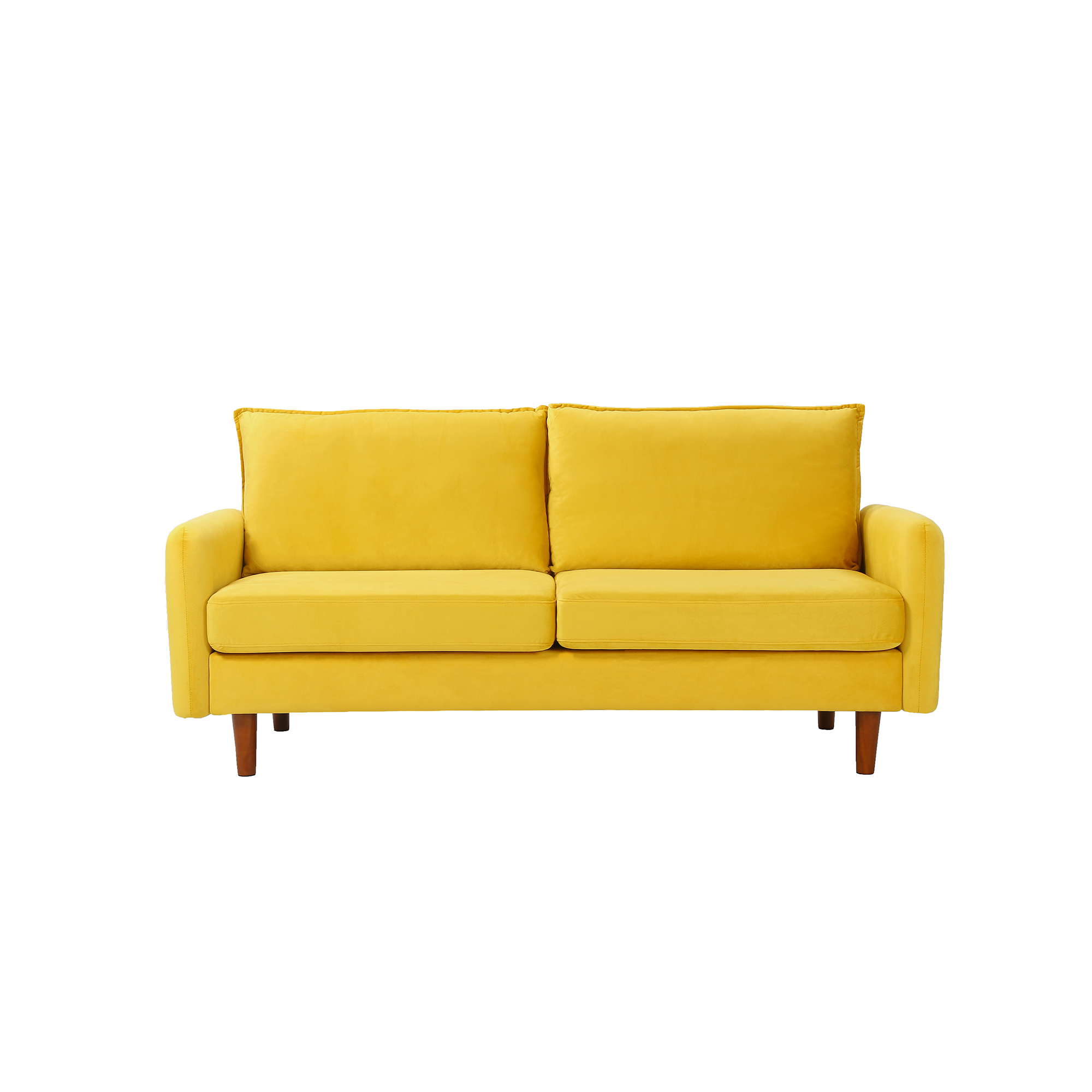 Contemporary Loveseat Sofa with Removable Cushion Velvet Couch, Modern