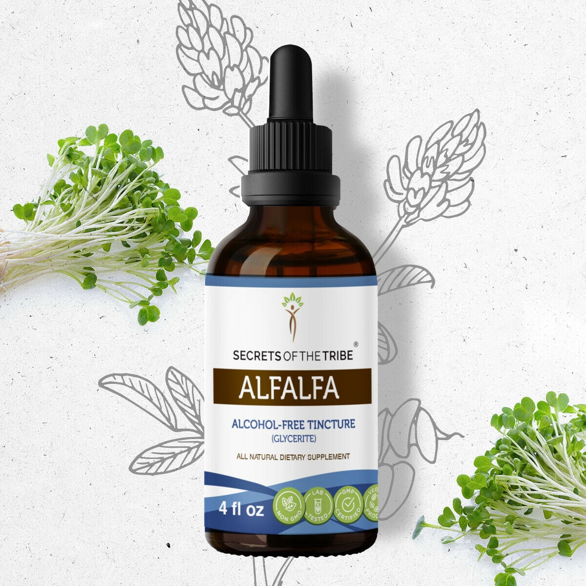 Alfalfa Tincture AlcoholFREE Extract, Organic Alfalfa Medicago Sativa