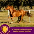 thumbnail image 4 of Horse Health Red Cell Iron-Rich Vitamin Supplement Pellets for Horses 4 lbs. 64-Day Supply, 4 of 12