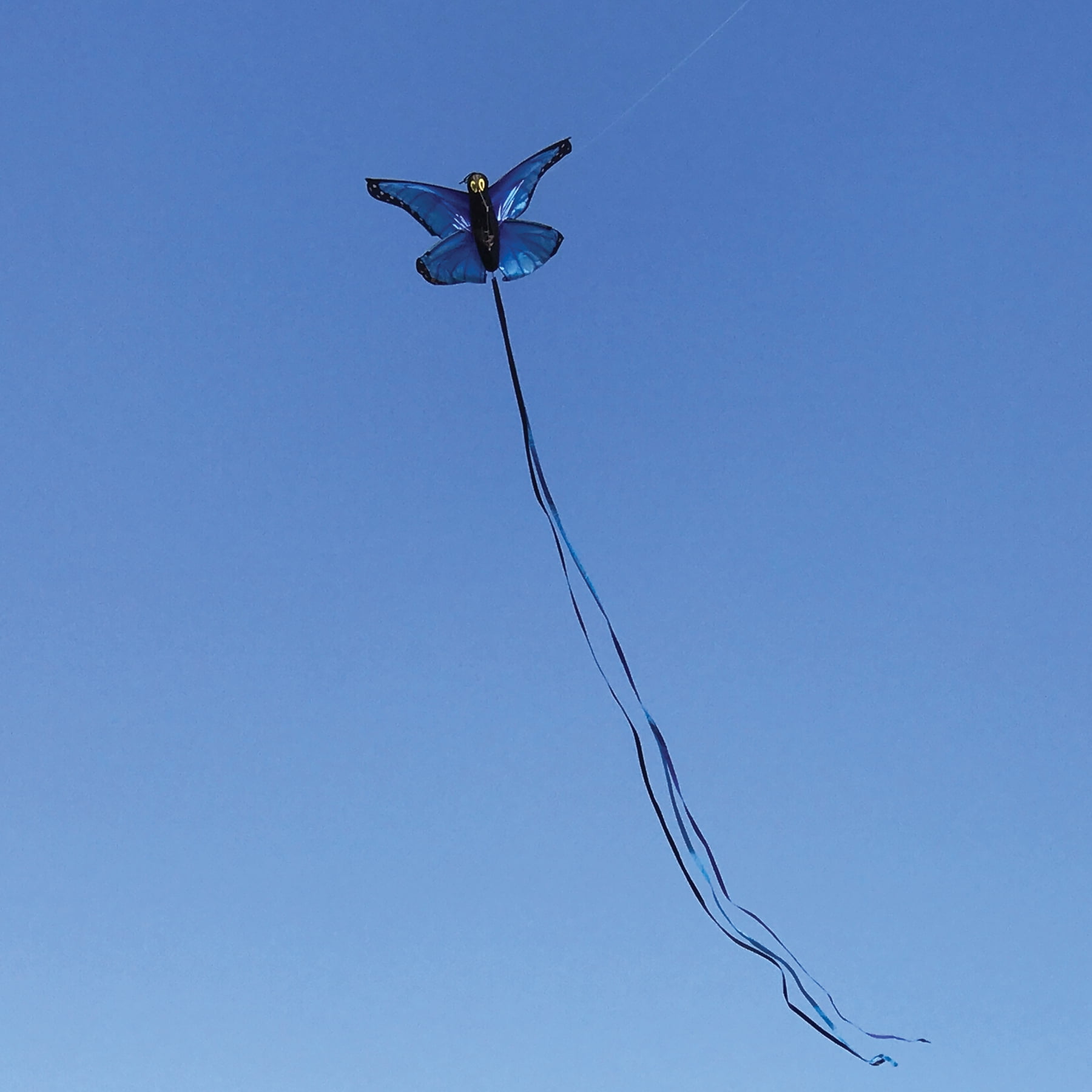 In the Breeze 3287 — 49" Blue Morpho Butterfly Kite — Fun, Easy Flying Kite for All Ages