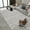 Loop Pile-2, variant on Plain Living Room Large Area Carpet Simple Home ration Bedroom Rug Hallway Foyer Easy Cleaning Machi