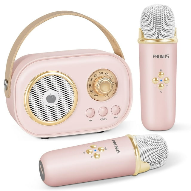 Máquina de karaoke PRUNUS Mini para niños y adultos con 2 micrófonos