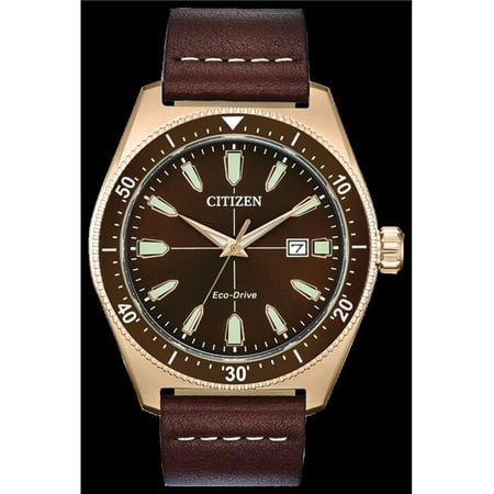 Citizen AW0076-03X Eco-Drive Vintage Brycen Stainless Steel Leather