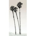 thumbnail image 2 of Braun Studio 11x18 Gold Ornate Wood Framed with Double Matting Museum Art Print Titled - Californian Palm Trees, 2 of 4