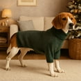 thumbnail image 7 of GASTROPOD Dog Sweater,Solid Color High Collar Knit Dog Sweater,Autumn Winter Stretch Warm Dog Clothes for Large Dogs,Green, 7 of 7