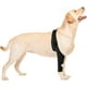 thumbnail image 1 of La férula para patas de perro protectora de patas traseras protege heridas y esguinces para mascotas, 1 of 1