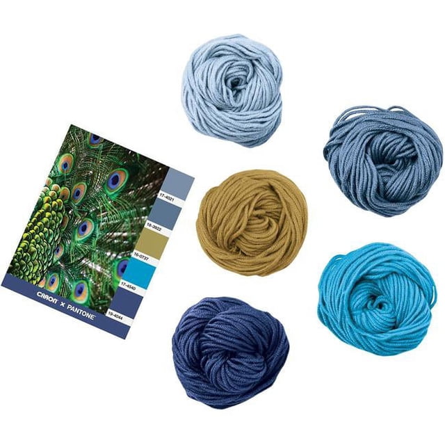 Spinrite 291101-01018 Fil Caron X Pantone, Bleu Paon