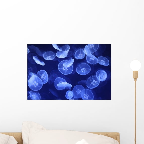 Jellyfish Swarm Wall Mural by Wallmonkeys Peel and Stick Graphic (18 in W x 12 in H) WM355249