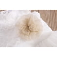 thumbnail image 5 of Coerni Baby Girls Carnival Birthday Outfit New Born Lace Tulle Romper Princess Tutu Dress Headband Photo Shoot Clothes, 5 of 9