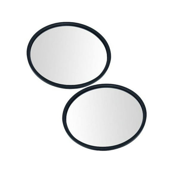 Convex Mirror School Bus