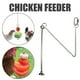 thumbnail image 5 of Stainless Steel Chicken Food Vegetable Fruit Hanging Feeder Toy, 5 of 6