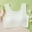 White, variant on Girls Bras with Padded Fixed Cup Seamless Cooling Breathable Comfortable Solid Color Wave Hem Training Bra for Teen Big Kids Girls Bras for 12-15 Years Purple