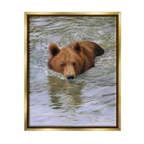 Brown Bear Lake Water Splash Animals & Insects Photograph Metallic Gold Framed Art Print Wall Art