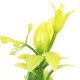 thumbnail image 2 of unbranded 30Ud Artificial Para De Peces Planta Decorativa Color Amarillo, 2 of 5