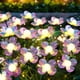 thumbnail image 4 of Luces de bamboleo LED solares para exteriores | Paquete de 6 luces decorativas de paisaje de jardín | Diseño de flores | Iluminación ambiental impermeable y eficiente en energía para patios, 4 of 9