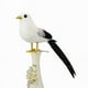 thumbnail image 1 of Nvzi 2 piezas de pájaros artificiales de 10,6 pulgadas, loro realista con modelo de decoración de loro con plumas realistas para manualidades de decoración, estilo de estación blanca, 1 of 4