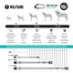 thumbnail image 4 of Collar para perro Wolfgang Man & Beast, resistente, ajustable, pequeño, 4 of 6