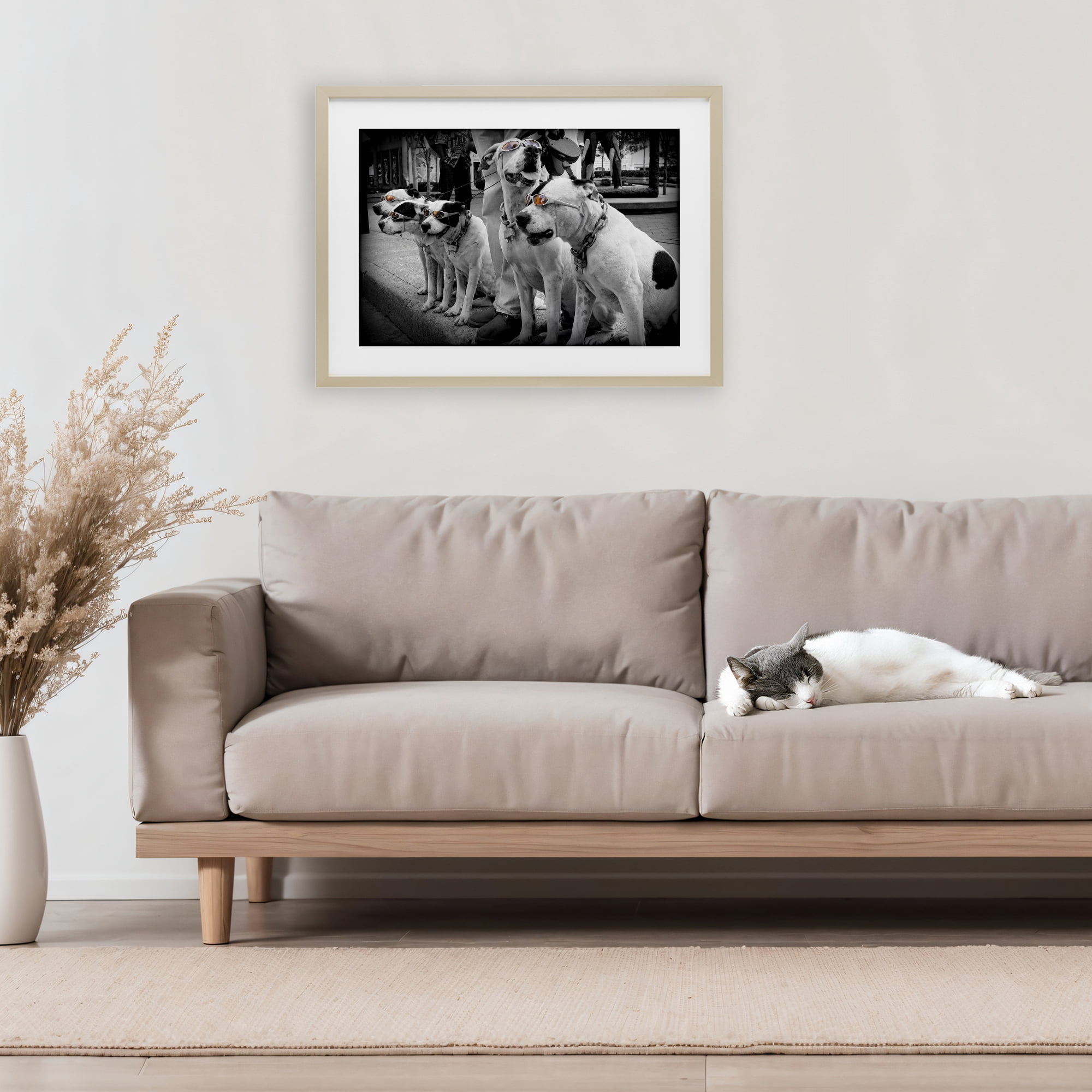 Stupell Industries Afternoon Stroll Pups Birch Framed Print Under Glass, design by Scott Henderson