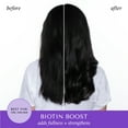 thumbnail image 4 of Hask Biotin Boost Thickening Shampoo, 12 fl oz, 4 of 10