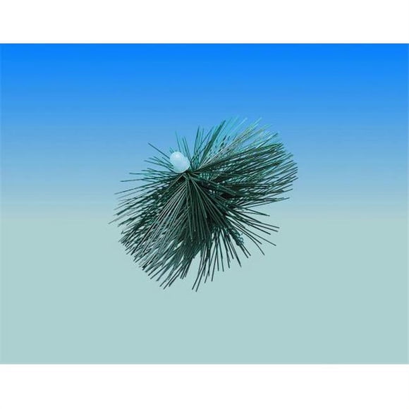 Lindemann 501132 Wohler 6 Inch PEK Brush