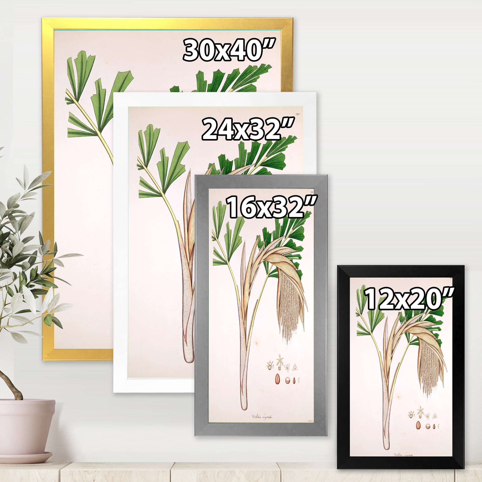Designart 'Ancient Plant Life XV' Farmhouse Framed Art Print