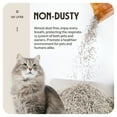 thumbnail image 4 of All For Paws 5-in-1 Tofu Cat Litter, Flushable | Dust-Free | Rapid Clumping | 7/24 Odor Control Nature Pellet Kitty Litter, Coffee Scent, 5.5lb/Pack, 4 of 7