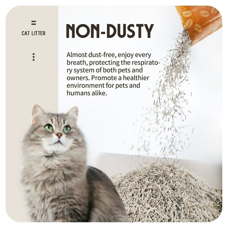 Non dusty cat litter best sale