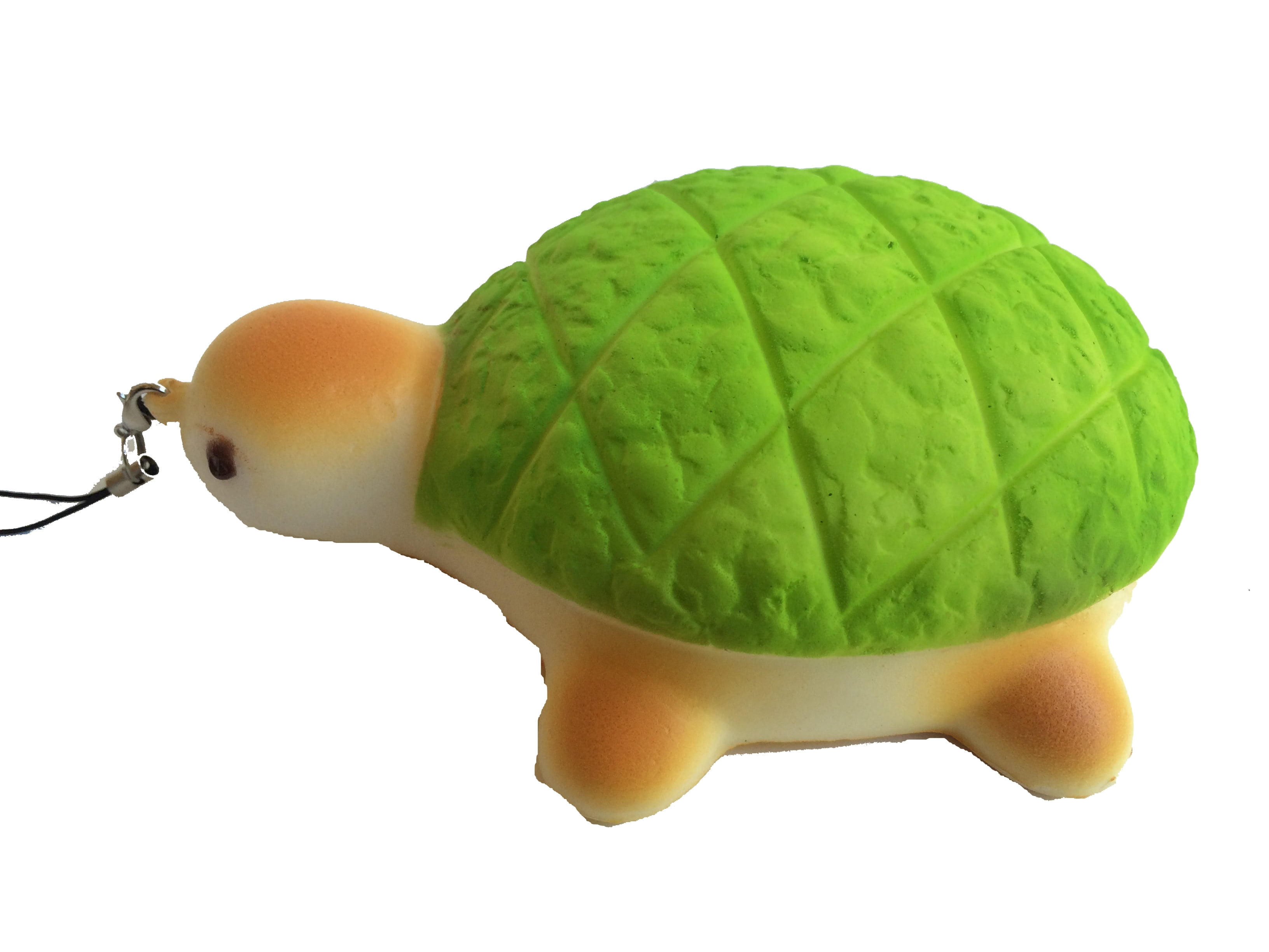 turtle squishies