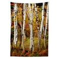 thumbnail image 3 of Ambesonne Fall Tablecloth Rectangular Table Cover, White Birch Trees Serenity, 60"x84", Multicolor, 3 of 4