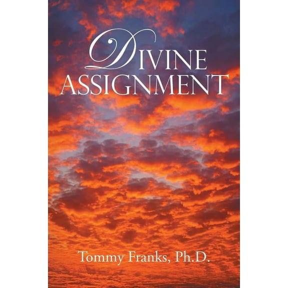 Divine Assignment (Paperback)